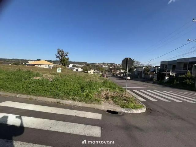 Terreno / Lote para Venda em Santa Cruz do Sul/RS Arroio Grande