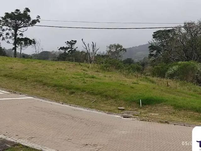 Terreno / Lote para Venda em Santa Cruz do Sul/RS Arroio Grande