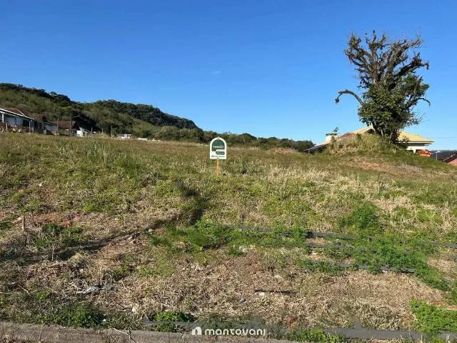 Terreno / Lote para Venda em Santa Cruz do Sul/RS Arroio Grande