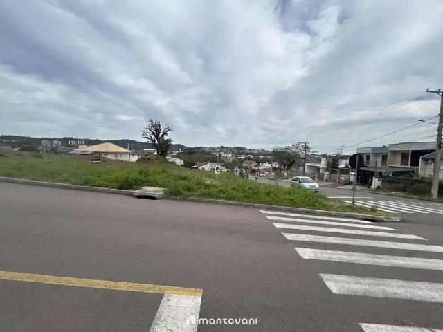 Terreno / Lote para Venda em Santa Cruz do Sul/RS Arroio Grande