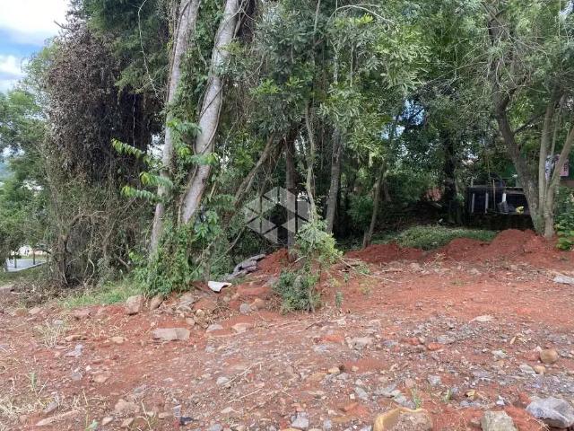 Terreno / Lote para Venda em Santa Cruz do Sul/RS Arroio Grande