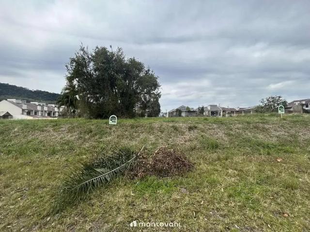 Terreno / Lote para Venda em Santa Cruz do Sul/RS Arroio Grande