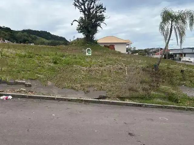 Terreno / Lote para Venda em Santa Cruz do Sul/RS Arroio Grande