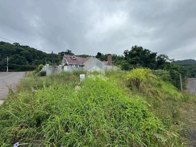 Terreno / Lote para Venda em Santa Cruz do Sul/RS Arroio Grande