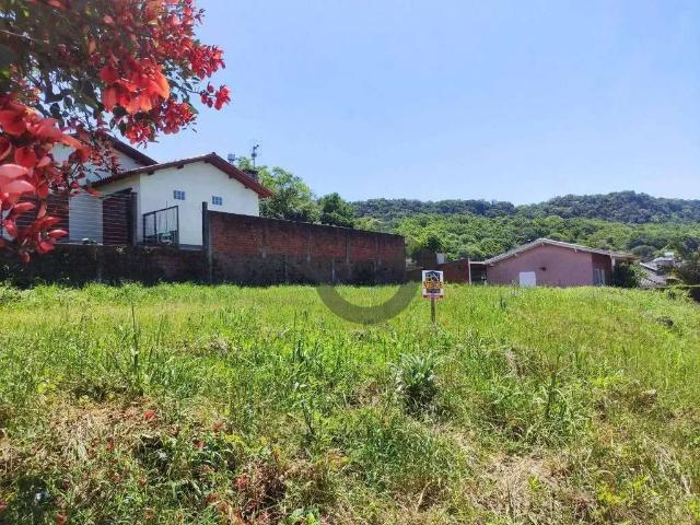 Terreno / Lote para Venda em Santa Cruz do Sul/RS Arroio Grande