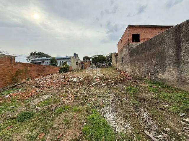 Terreno / Lote para Venda em Santa Cruz do Sul/RS Arroio Grande