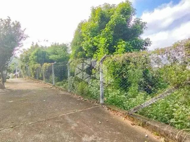Terreno / Lote para Venda em Santa Cruz do Sul/RS Arroio Grande