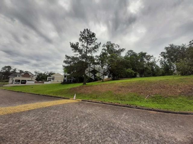 Terreno / Lote para Venda em Santa Cruz do Sul/RS Belvedere