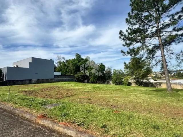 Terreno / Lote para Venda em Santa Cruz do Sul/RS Belvedere