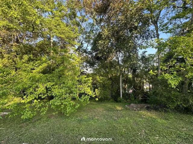 Terreno / Lote para Venda em Santa Cruz do Sul/RS Belvedere