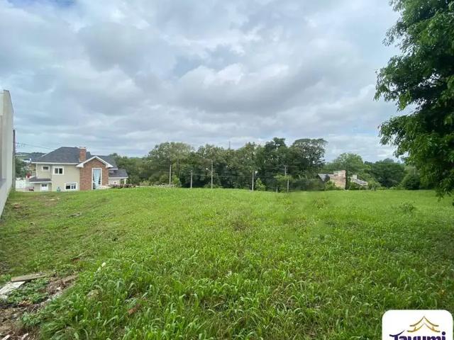 Terreno / Lote para Venda em Santa Cruz do Sul/RS Belvedere