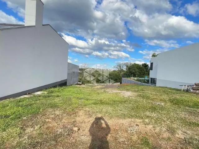Terreno / Lote para Venda em Santa Cruz do Sul/RS Belvedere