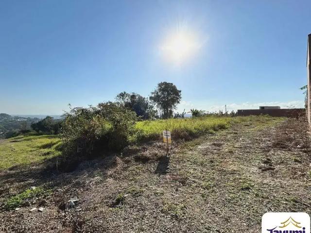 Terreno / Lote para Venda em Santa Cruz do Sul/RS Bonfim