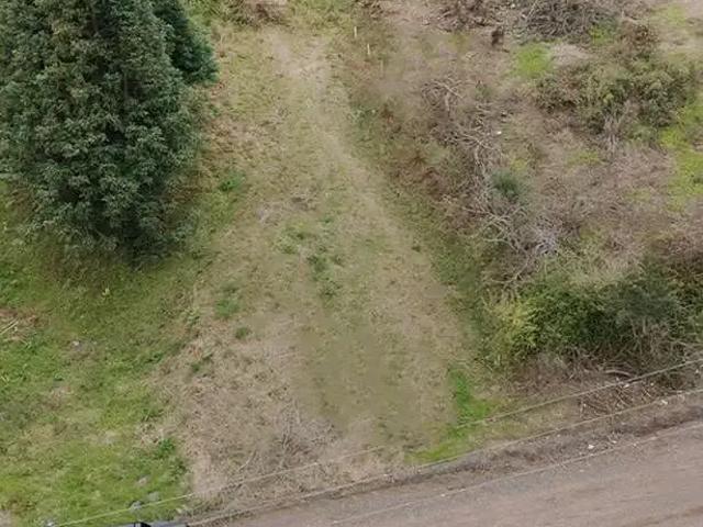 Terreno / Lote para Venda em Santa Cruz do Sul/RS Bonfim