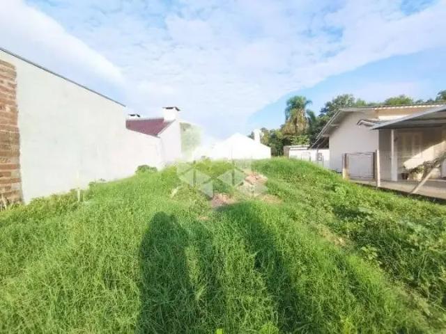 Terreno / Lote para Venda em Santa Cruz do Sul/RS Castelo Branco