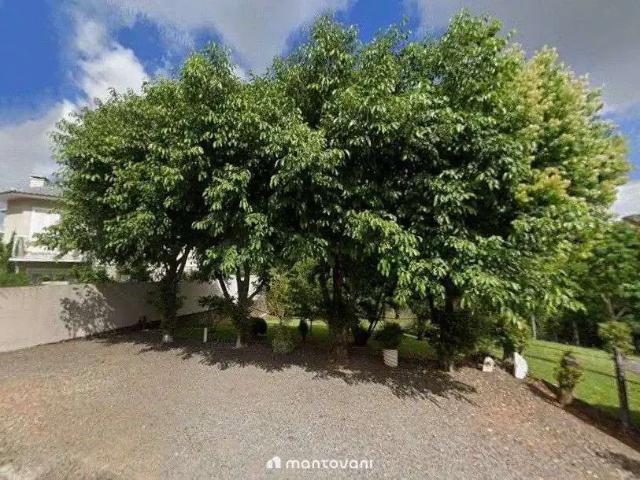 Terreno / Lote para Venda em Santa Cruz do Sul/RS Centro