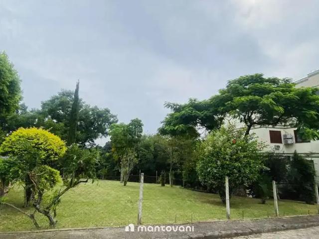 Terreno / Lote para Venda em Santa Cruz do Sul/RS Centro