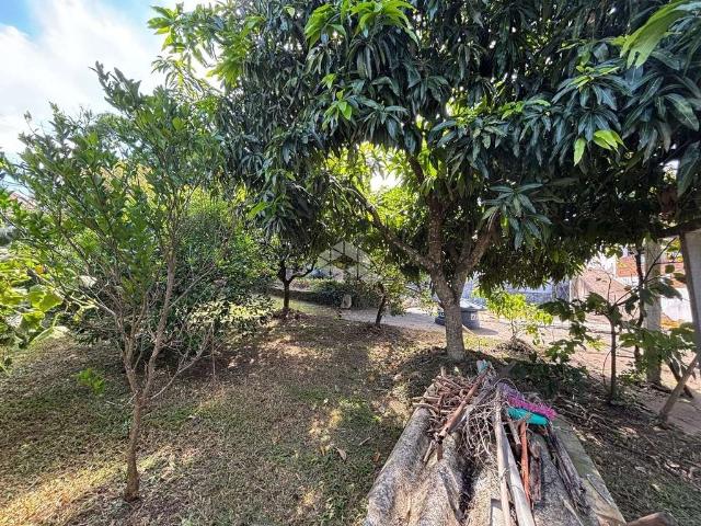 Terreno / Lote para Venda em Santa Cruz do Sul/RS Centro
