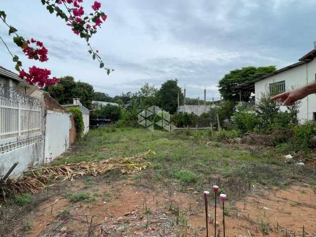 Terreno / Lote para Venda em Santa Cruz do Sul/RS Centro