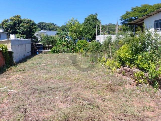 Terreno / Lote para Venda em Santa Cruz do Sul/RS Centro