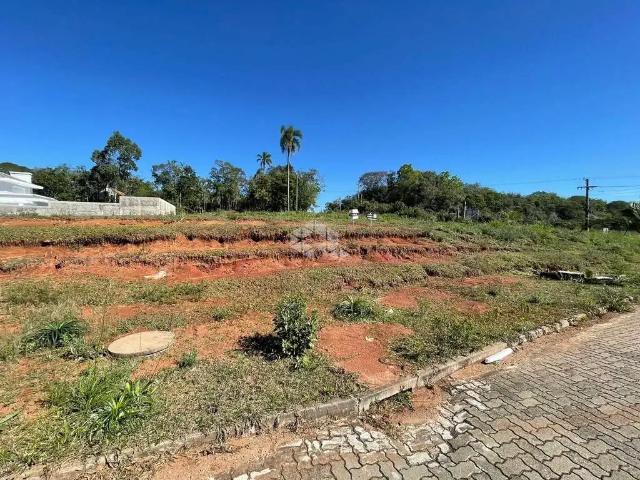 Terreno / Lote para Venda em Santa Cruz do Sul/RS Country