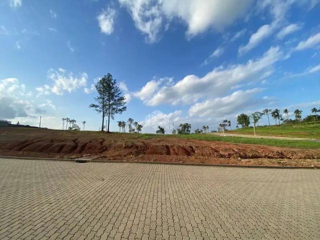 Terreno / Lote para Venda em Santa Cruz do Sul/RS Country