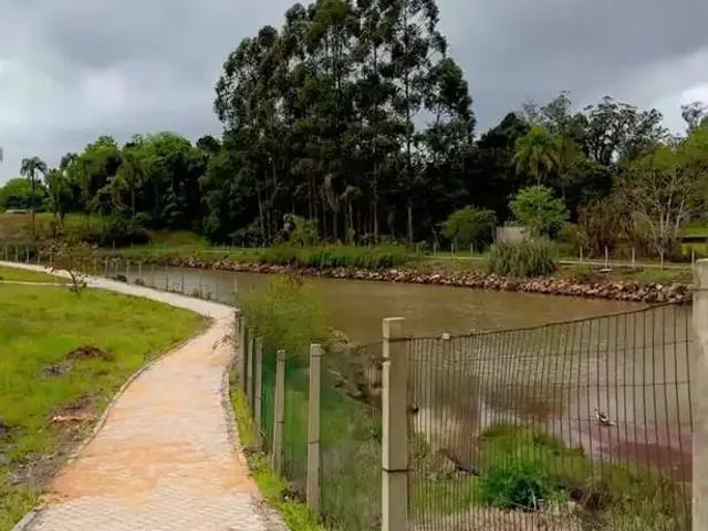 Terreno / Lote para Venda em Santa Cruz do Sul/RS Country