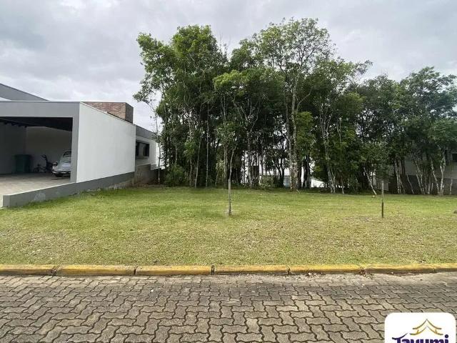 Terreno / Lote para Venda em Santa Cruz do Sul/RS Country