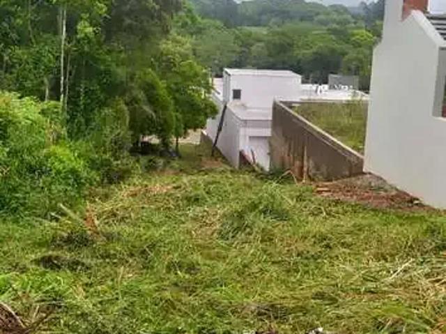 Terreno / Lote para Venda em Santa Cruz do Sul/RS Country