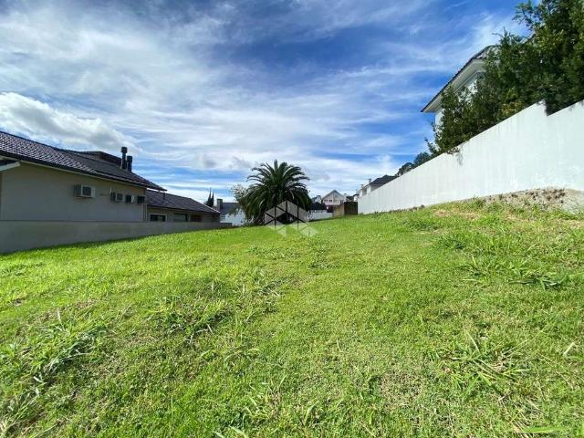 Terreno / Lote para Venda em Santa Cruz do Sul/RS Country