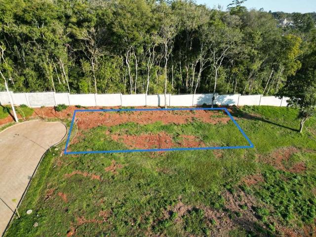 Terreno / Lote para Venda em Santa Cruz do Sul/RS Country