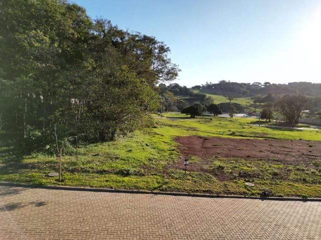 Terreno / Lote para Venda em Santa Cruz do Sul/RS Country
