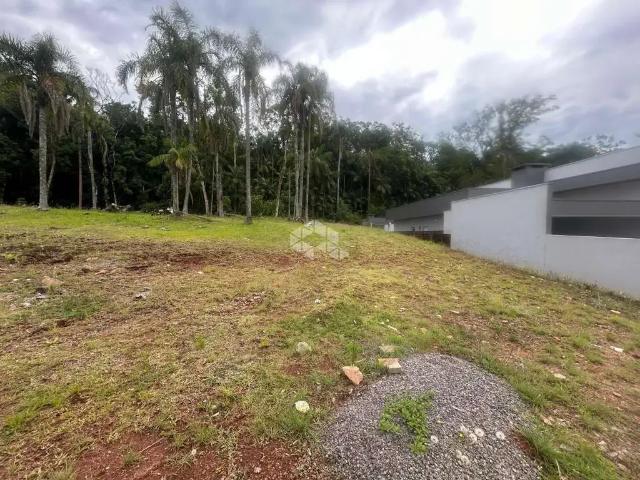 Terreno / Lote para Venda em Santa Cruz do Sul/RS Country