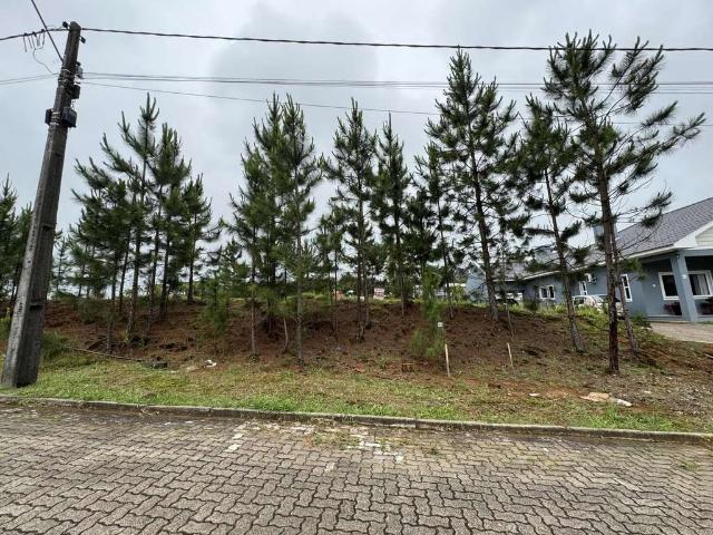 Terreno / Lote para Venda em Santa Cruz do Sul/RS Country