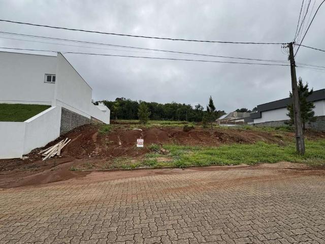 Terreno / Lote para Venda em Santa Cruz do Sul/RS Country