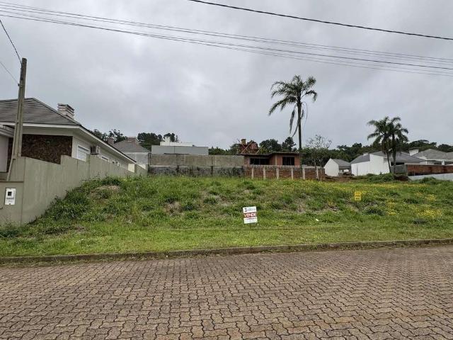 Terreno / Lote para Venda em Santa Cruz do Sul/RS Country