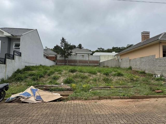 Terreno / Lote para Venda em Santa Cruz do Sul/RS Country