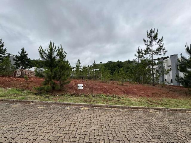 Terreno / Lote para Venda em Santa Cruz do Sul/RS Country