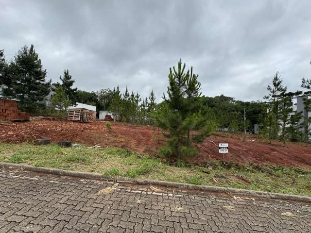 Terreno / Lote para Venda em Santa Cruz do Sul/RS Country
