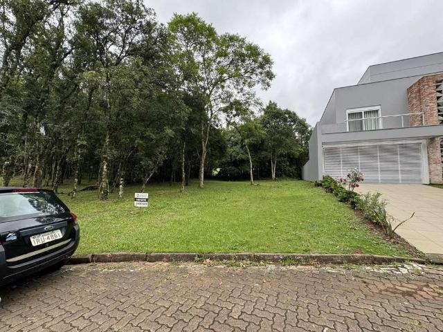 Terreno / Lote para Venda em Santa Cruz do Sul/RS Country
