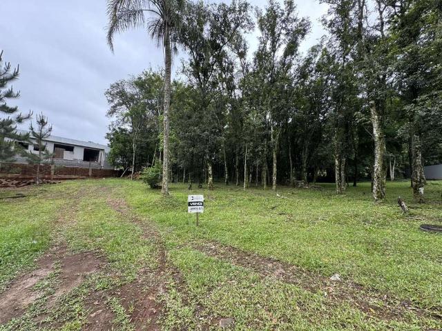 Terreno / Lote para Venda em Santa Cruz do Sul/RS Country