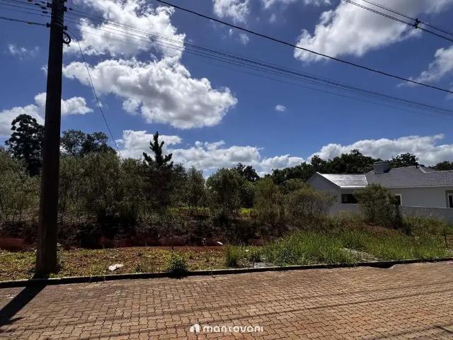 Terreno / Lote para Venda em Santa Cruz do Sul/RS Country