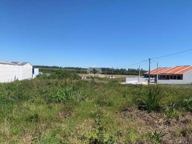 Terreno / Lote para Venda em Santa Cruz do Sul/RS Distrito Industrial
