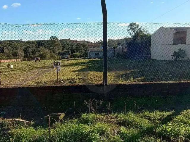 Terreno / Lote para Venda em Santa Cruz do Sul/RS Esmeralda