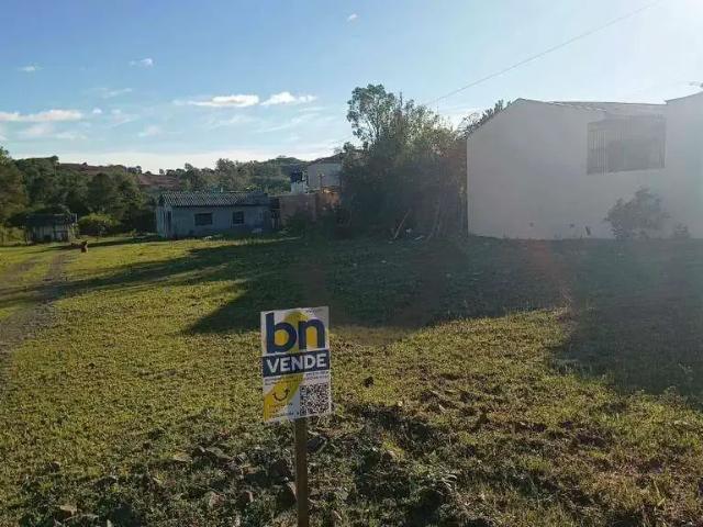 Terreno / Lote para Venda em Santa Cruz do Sul/RS Esmeralda