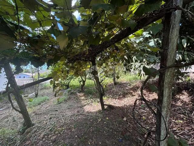 Terreno / Lote para Venda em Santa Cruz do Sul/RS Esmeralda