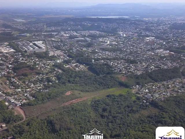 Terreno / Lote para Venda em Santa Cruz do Sul/RS Esmeralda