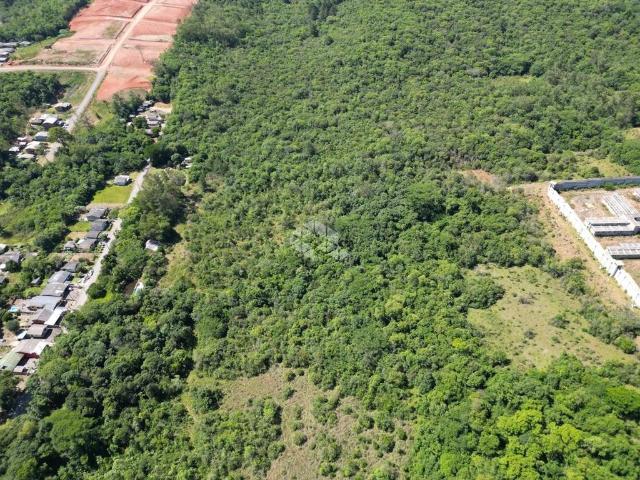 Terreno / Lote para Venda em Santa Cruz do Sul/RS Esmeralda
