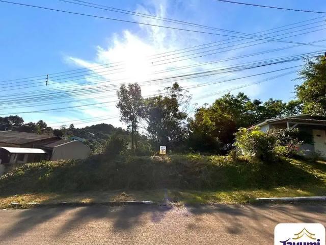 Terreno / Lote para Venda em Santa Cruz do Sul/RS Esmeralda