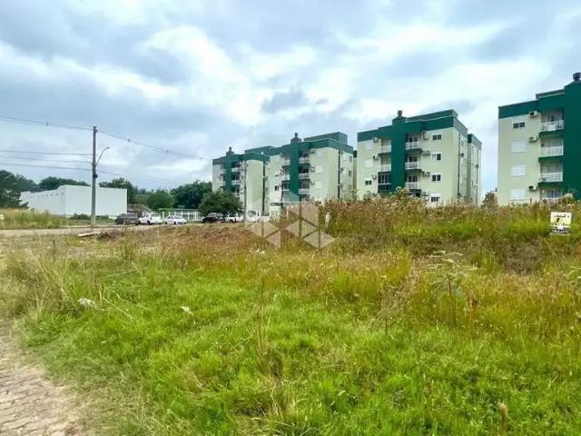 Terreno / Lote para Venda em Santa Cruz do Sul/RS Independência